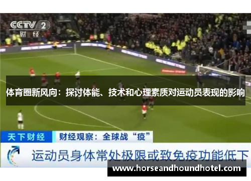 体育圈新风向：探讨体能、技术和心理素质对运动员表现的影响